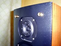 Wymiana wysokotonowych CB818S