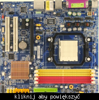 pytanie o kartę graficzną