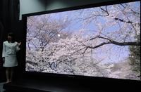 ITU zatwierdziło telewizję NHK Super Hi-Vision 8K, czyli 7680 x 4320 pikseli ITU zatwierdziło telewizję NHK Super Hi-Vision 8K, czyli 7680 x 4320 pikseli