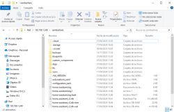 Screenshot of Windows File Explorer with the sambashare folder open on the network address 192.168.1.249.