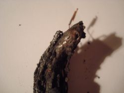 Fiat Bravo 2007 - Ocena przewodów po prawdopodobnym zwarciu instalacji