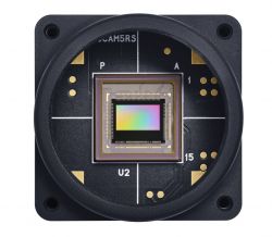 Algorytmy neuromorficzne: już wkrótce w produktach konsumenckich