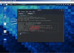 Zrzut ekranu terminala w systemie Kali Linux pokazujący wynik polecenia dhclient z informacjami DHCPACK.