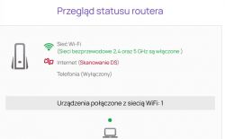 Ekran statusu routera z informacjami o połączeniu Wi-Fi i problemem z internetem.