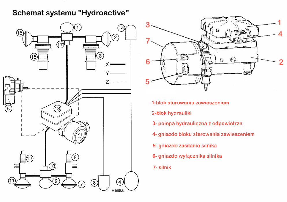 Citroen C5 - Pinout Pompy Hydraulicznej Zawieszenia