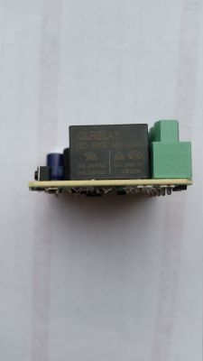 Electronic Module with QLRELAY Relay Electronic module with QLRELAY relay and green terminal.