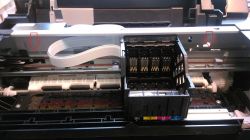 Epson XP-322 fałszywy alarm o zacięciu papieru - co robić?