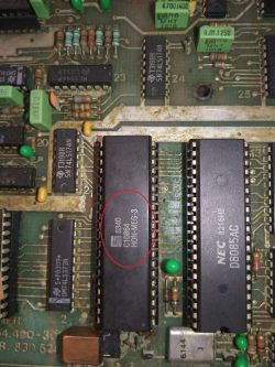 Gdzie znajdę układ C10864 HON-MEG-3 z organów HOHNER SYMPHONIE D90?