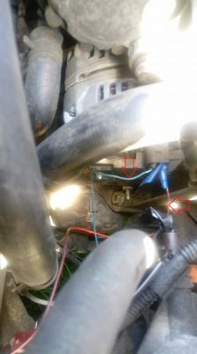 Seat Cordoba 1.9 tdi 90KM - Błąd 1117 - Alternator [Brak odnalezionej przyczyny]