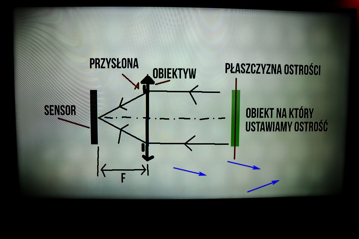 Aurabeam Telecomando Universale Sostitutivo Per TV LG 55LA620S E Modelli Compatibili, Con Garanzia 1 Anno