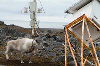 Życie na stacji polarnej - Praca na stanowisku elektronika i geofizyka