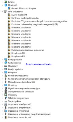 Zrzut ekranu Menedżera urządzeń z listą urządzeń z wykrzyknikami.