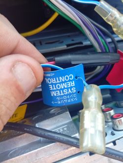 Zbliżenie na niebieski przewód „System Remote Control” z tyłu radia samochodowego Pioneer