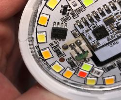 Electronic module with LEDs and integrated circuits.