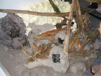 Zautomatyzowana komora dla roślin