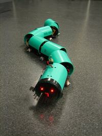 Robot - Wąż - zdjecia, film, opis