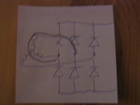 Polonez Caro 1.6 KAT - Kntrolki ładowania stop poziom oleju nie gasną.