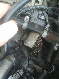 Mazda 323F BJ 1.6 ZM 72kW 2002 - Schemat ECU ZM39 3 kostki