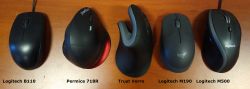Buying a computer mouse for a large hand (I know, funny topic)