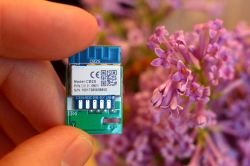 Tuya CB2S electronic module held between fingers in front of lilac flowers.