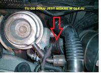 VW B6 2.0 TDI 140KM BMP - Stukanie przy zimnym silniku, przeskakiwanie trybów?