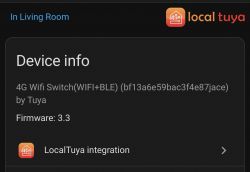Device information on LocalTuya app for a WiFi switch.