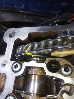 Setting Camshafts in 2003 Audi A4 2.0 ALT: Looking for Diagram and Guidance