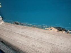 Moisture Issue under Floor & Socket Smell - Help with Door Frame, Skirting Boards & Damp Walls Moisture Issue under Floor & Socket Smell - Help with Door Frame, Skirting Boards & Damp Walls