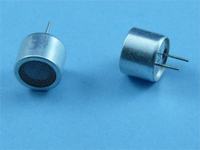 Wykrywacz nietoperzy, czyli jak podsłuchać ultradźwięki