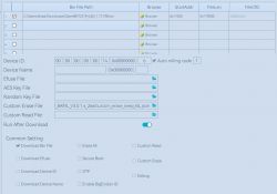 User interface of a firmware flashing application with binary file settings.