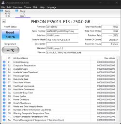 CrystalDiskInfo screenshot showing “PHISON PS5013-E13 : 250.0 GB” with “Good 100%” health status.