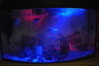 Pokrywa do akwarium 60L LED Pokrywa do akwarium 60L LED