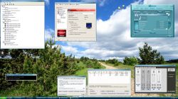 Screenshot of a Windows operating system with various open program windows over a forest background.