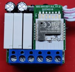 AVATTO WSM16-W4 Relay Module AVATTO WSM16-W4 relay module on a red background.