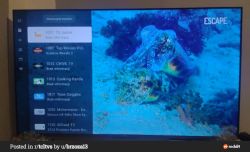 Ekran telewizora TCL z listą kanałów FAST oraz wideo z ośmiornicą w tle