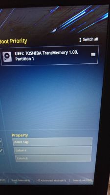 Installing WIN 7 from UEFI? - Installation stops at 'Starting Windows'
