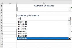 Excel kilka pól kombi z zawężeniem wyniku - problem Excel kilka pól kombi z zawężeniem wyniku - problem