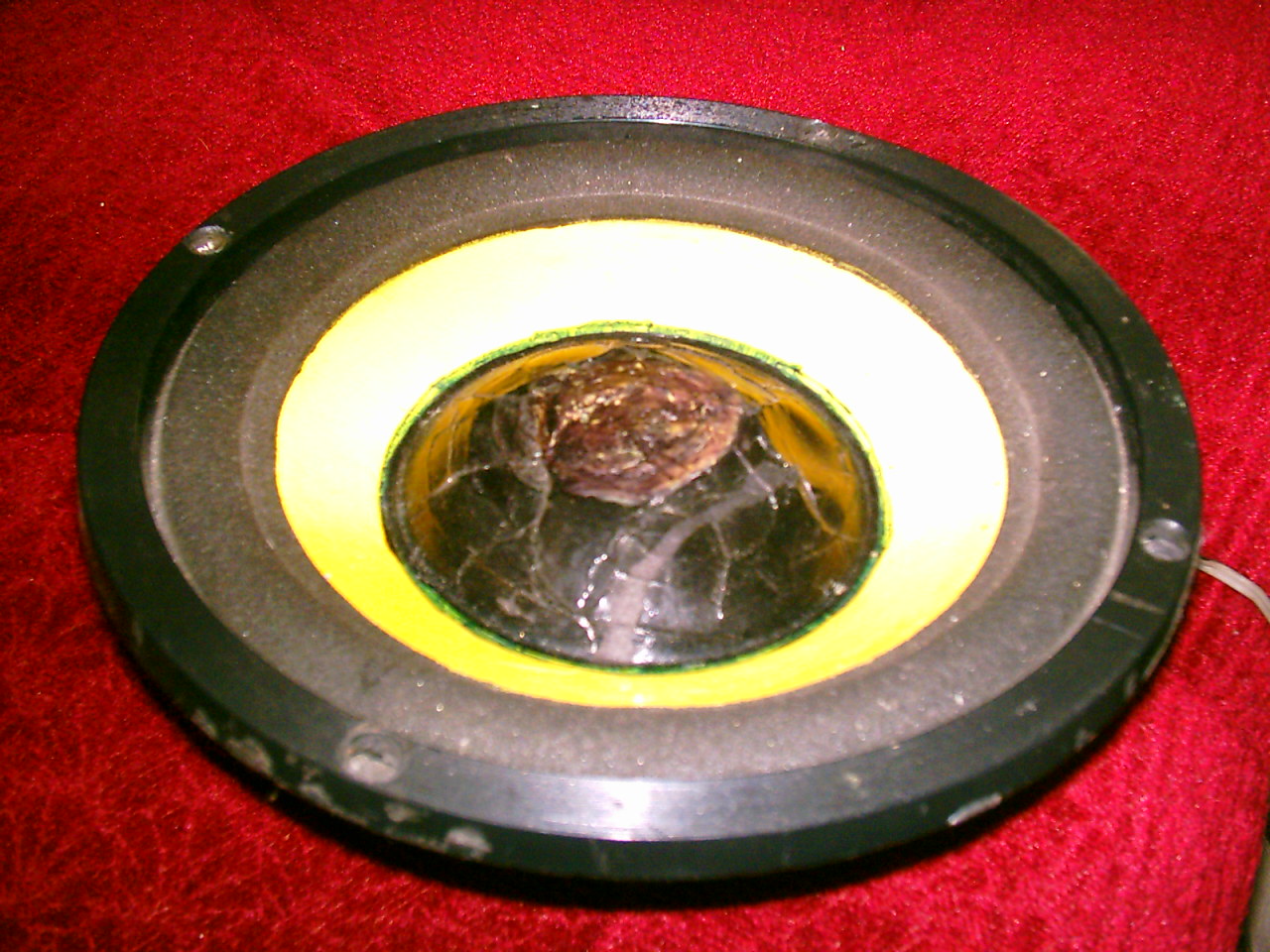 Co to za głośnik? Chcę zmienić obudowę