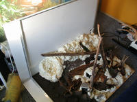 Zautomatyzowana komora dla roślin