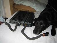 Volvo sc-901 jak podłączyć wzmacniacz? (FOTO)