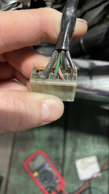 Wtyczka z przewodami elektrycznymi w różnych kolorach trzymana w dłoni.