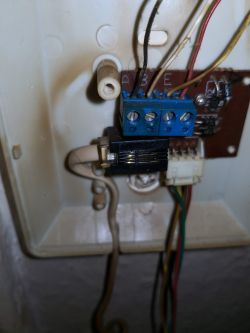 Innenansicht des TCS-Türsprechers mit Kabelverbindungen Nahaufnahme des Inneren eines TCS-Türsprechers mit an Anschlüssen angeschlossenen Drähten.