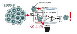 Wzmacniacz do elektrometru w mikroskopie sił atomowych Wzmacniacz do elektrometru w mikroskopie sił atomowych