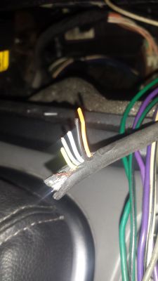 Scenic II 1.9dci 2005 - Jakie radio do navi, podłączenie, brakujące kostki