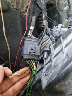 Podłączanie kabli z wtyczek do Golf mk1 1.8t AGU - Dyskusja techniczna