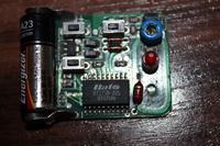 Jak ustalić model centralnego zamka w Daewoo Lanos 1.5 SE 8v?