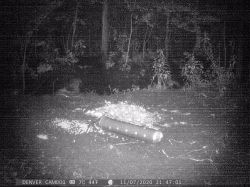 Denver WCM-8010 Camera Trap: Troubleshooting MMS & Email Issues, Activation Codes & Setup