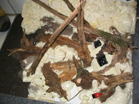 Zautomatyzowana komora dla roślin