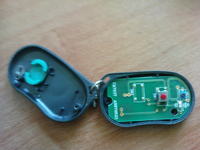 American Legend small 9218