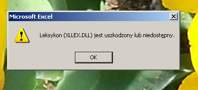 Office 2010 na XP SP3 - błąd XLLEX.DLL przy uruchamianiu Excel 2010